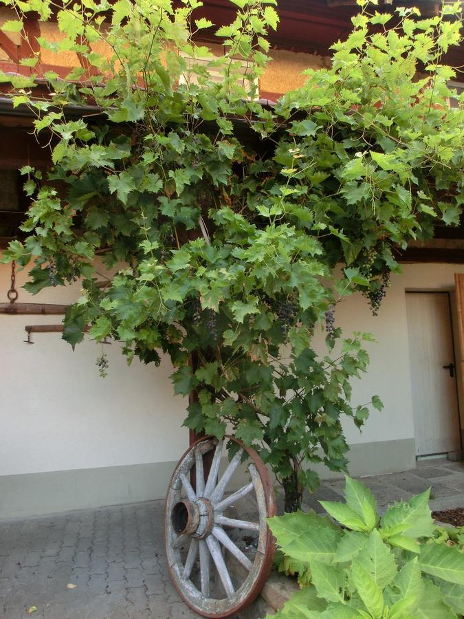 Zehnthof Hotell Geldersheim Exteriör bild